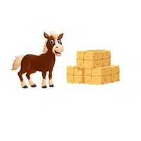 Horse – Hay - Animals Foods Names