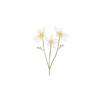Jasmine | Plants Names in English