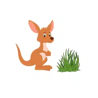 Kangaroo – Grass - Animals Foods Names