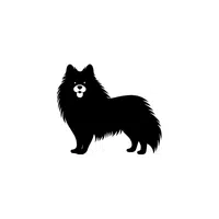 Keeshond | Types of Dogs Names in English