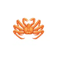 King Crab | Seafood items Names in English