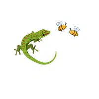 Lizard – Insects - Animals Foods Names