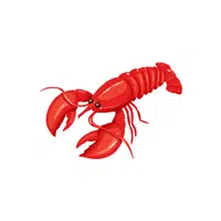 Lobster