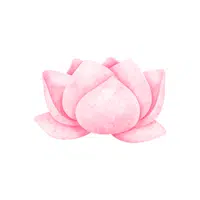 Lotus Flower