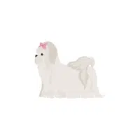 Maltese | Types of Dogs Names in English