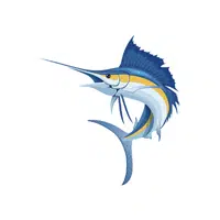 Marlin | Seafood items Names in English