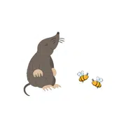 Mole – insects - Animals Foods Names