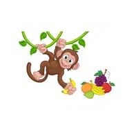 Monkey – Fruits - Animals Foods Names