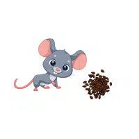 Mouse – Seeds - Animals Foods Names