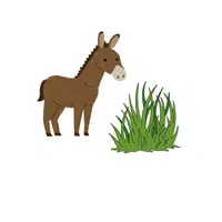 Mule – Grass