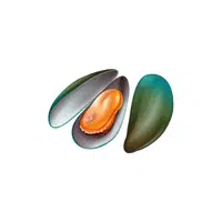 Mussel | Seafood items Names in English