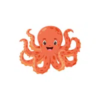 Octopus | Seafood items Names in English