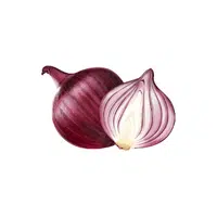 Onions | Grocery Store items Names in English