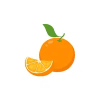 Oranges | Grocery Store items Names in English