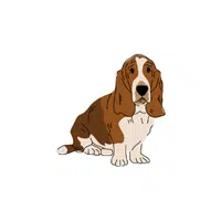 Otterhound | Types of Dogs Names in English