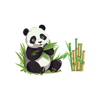 Panda – Bamboo - Animals Foods Names