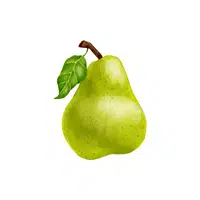 Pears | Grocery Store items Names in English