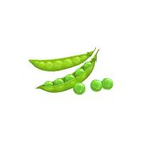 Peas | Grocery Store items Names in English