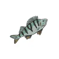 Perch | Seafood items Names in English