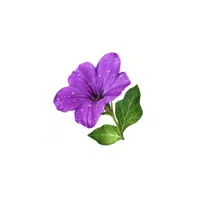 Petunia | Plants Names in English