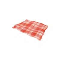 Picnic blanket - Beach Items Names