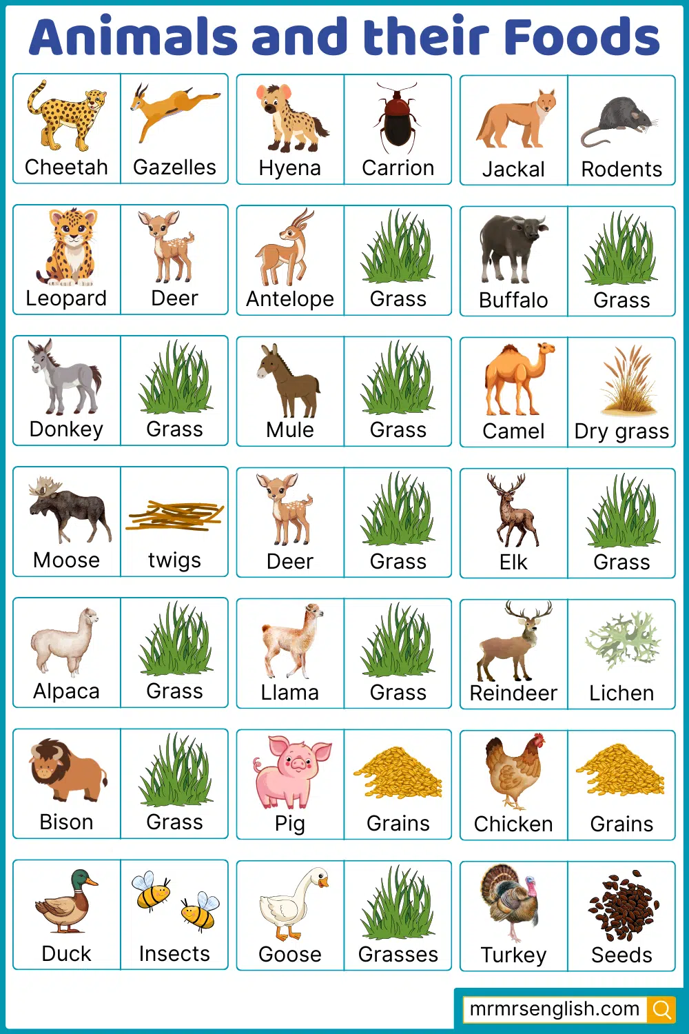 Pictures of Animals Foods Names