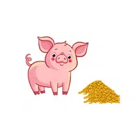 Pig – Grains