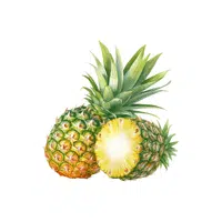 Pineapple | Grocery Store items Names in English