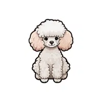 Poodle | Types of Dogs Names in English