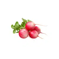 Radishes