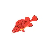 Rockfish | Seafood items Names in English