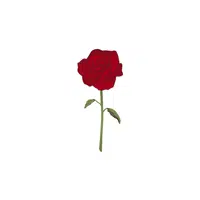 Rose | Plants Names in English
