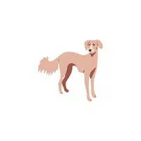 Saluki | Types of Dogs Names in English