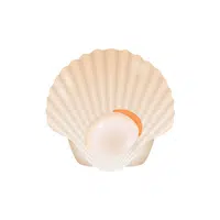 Scallop