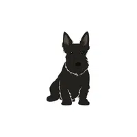 Scottish Terrier | Types of Dogs Names in English