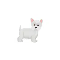 Sealyham Terrier | Types of Dogs Names in English