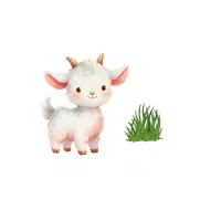 Sheep – Grass - Animals Foods Names