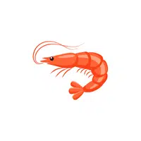 Shrimp | Seafood items Names in English