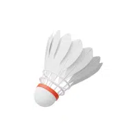 Shuttlecock | Sport Equipment Name