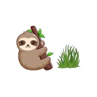 Sloth – Leaves - Animals Foods Names