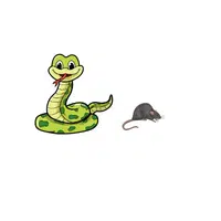 Snake – Rodents - Animals Foods Names