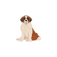St. Bernard | Types of Dogs Names in English