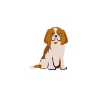 Sussex Spaniel