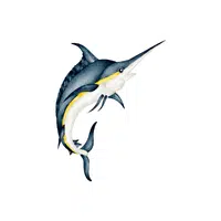 Swordfish | Seafood items Names in English