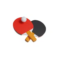 Table tennis paddle | Sports Equipment Names in English