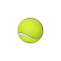 Tennis ball | Sports Equipment Names in English