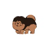 Tibetan Mastiff | Types of Dogs Names in English