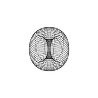 Torus - Geometric Shapes Names