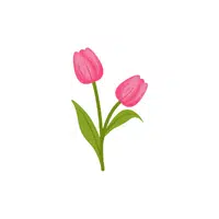 Tulip | Plants Names in English