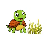 Turtle – Seaweed - Animals Foods Names
